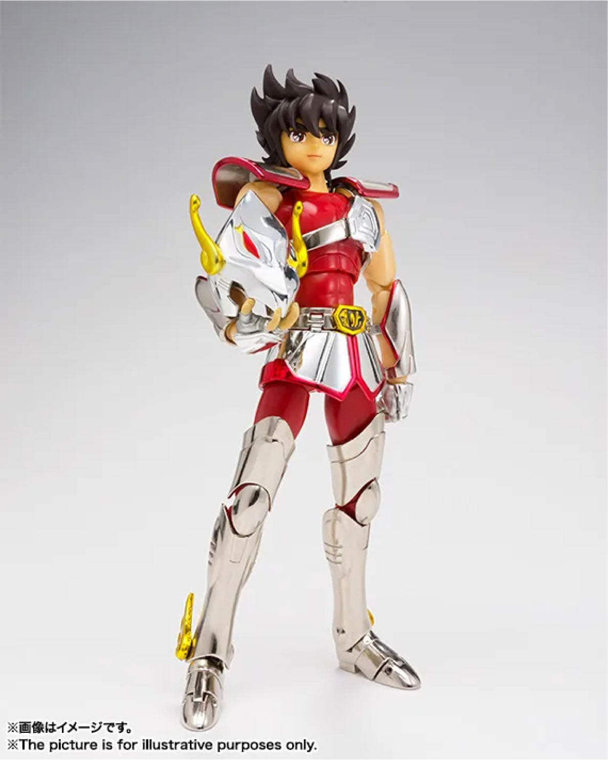 Saint Cloth Myth Pegasus Seiya Early Bronze Cloth Revival Ver. - image 3