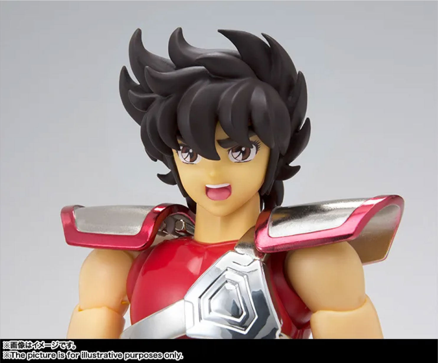 Saint Cloth Myth Pegasus Seiya Early Bronze Cloth Revival Ver. - image 8