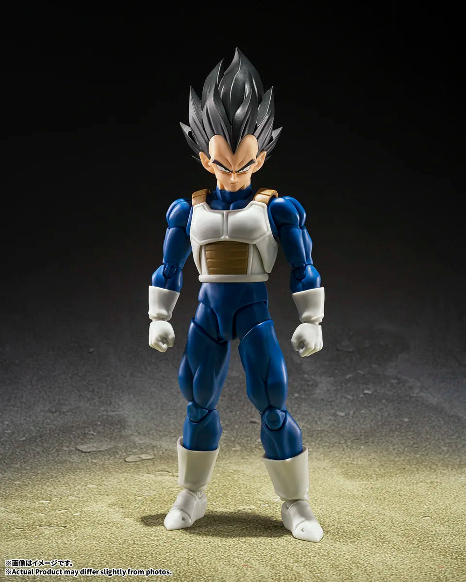 S.H.Figuarts Vegeta Z-Fighters - official display view 2